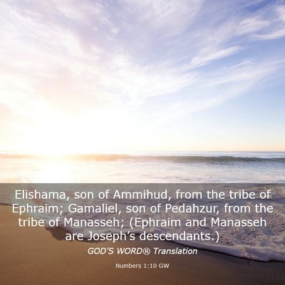 Picture 03 - Numbers 1:10 GW - Elishama, son of Ammihud, from the tribe of - Bible Verse Picture