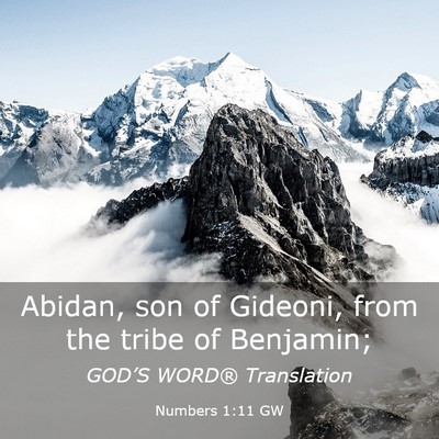 Picture 03 - Numbers 1:11 GW - Abidan, son of Gideoni, from the tribe of - Bible Verse Picture