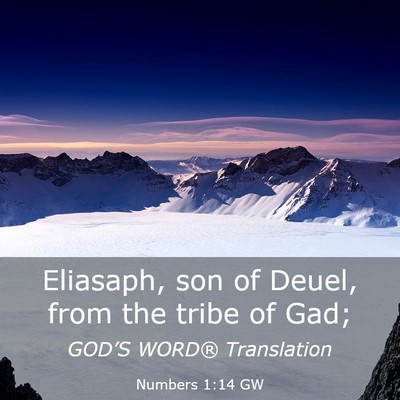 Picture 03 - Numbers 1:14 GW - Eliasaph, son of Deuel, from the tribe of - Bible Verse Picture