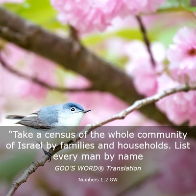 Picture 03 - Numbers 1:2 GW - “Take a census of the whole community of Israel - Bible Verse Picture