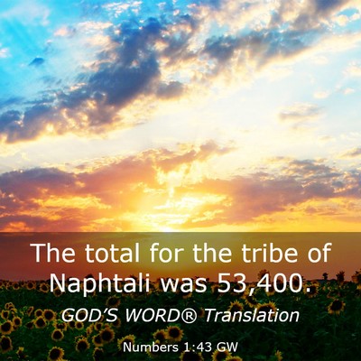 Picture 03 - Numbers 1:43 GW - The total for the tribe of Naphtali was - Bible Verse Picture