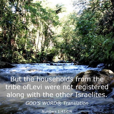Picture 03 - Numbers 1:47 GW - But the households from the tribe ofLevi were not - Bible Verse Picture