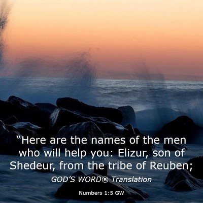 Picture 03 - Numbers 1:5 GW - “Here are the names of the men who will help - Bible Verse Picture