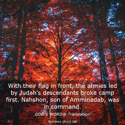 Picture 03 - Numbers 10:14 GW - With their flag in front, the armies led by - Bible Verse Picture