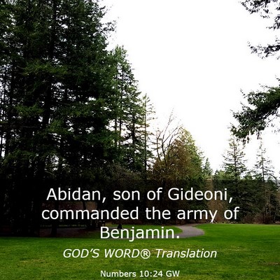 Picture 03 - Numbers 10:24 GW - Abidan, son of Gideoni, commanded the army of - Bible Verse Picture