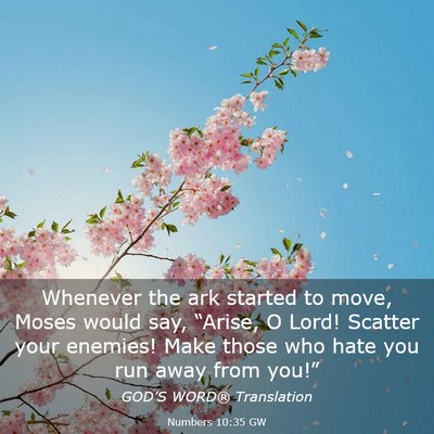 Picture 03 - Numbers 10:35 GW - Whenever the ark started to move, Moses would - Bible Verse Picture