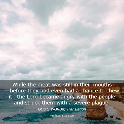 Picture 03 - Numbers 11:33 GW - While the meat was still in their mouths—before - Bible Verse Picture