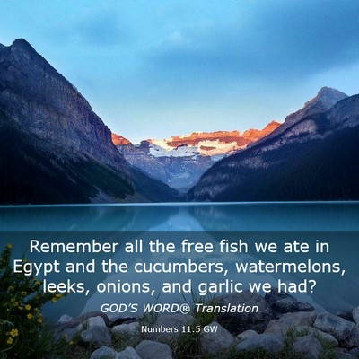 Picture 03 - Numbers 11:5 GW - Remember all the free fish we ate in Egypt and - Bible Verse Picture