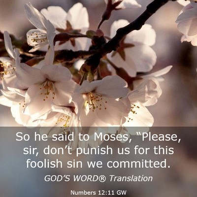 Picture 03 - Numbers 12:11 GW - So he said to Moses, “Please, sir, don’t - Bible Verse Picture