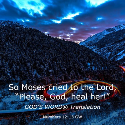Picture 03 - Numbers 12:13 GW - So Moses cried to the Lord, “Please, God, heal - Bible Verse Picture