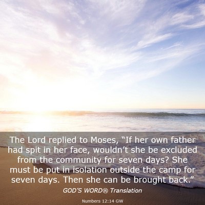Picture 03 - Numbers 12:14 GW - The Lord replied to Moses, “If her own father - Bible Verse Picture