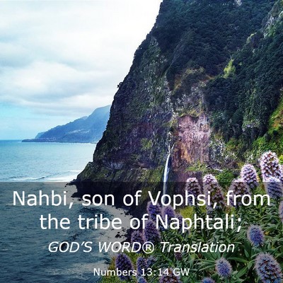 Picture 03 - Numbers 13:14 GW - Nahbi, son of Vophsi, from the tribe of - Bible Verse Picture