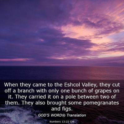 Picture 03 - Numbers 13:23 GW - When they came to the Eshcol Valley, they cut off - Bible Verse Picture