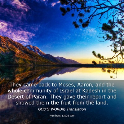 Picture 03 - Numbers 13:26 GW - They came back to Moses, Aaron, and the whole - Bible Verse Picture