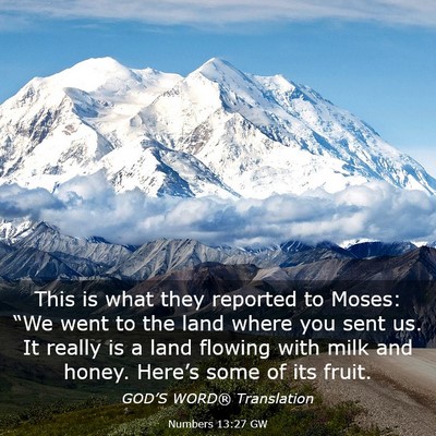 Picture 03 - Numbers 13:27 GW - This is what they reported to Moses: “We went - Bible Verse Picture