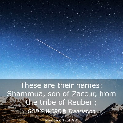 Picture 03 - Numbers 13:4 GW - These are their names: Shammua, son of Zaccur, - Bible Verse Picture