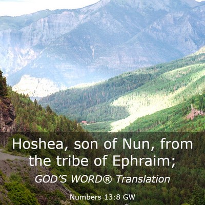 Picture 03 - Numbers 13:8 GW - Hoshea, son of Nun, from the tribe of - Bible Verse Picture