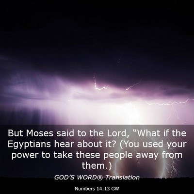 Picture 03 - Numbers 14:13 GW - But Moses said to the Lord, “What if the - Bible Verse Picture