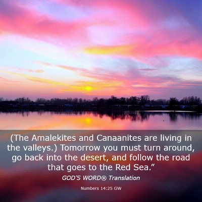 Picture 03 - Numbers 14:25 GW - (The Amalekites and Canaanites are living in the - Bible Verse Picture