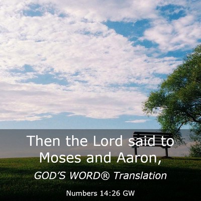Picture 03 - Numbers 14:26 GW - Then the Lord said to Moses and - Bible Verse Picture