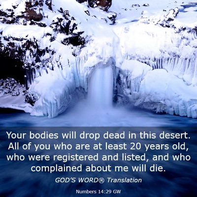 Picture 03 - Numbers 14:29 GW - Your bodies will drop dead in this desert. All of - Bible Verse Picture