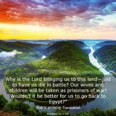 Picture 03 - Numbers 14:3 GW - Why is the Lord bringing us to this land—just - Bible Verse Picture
