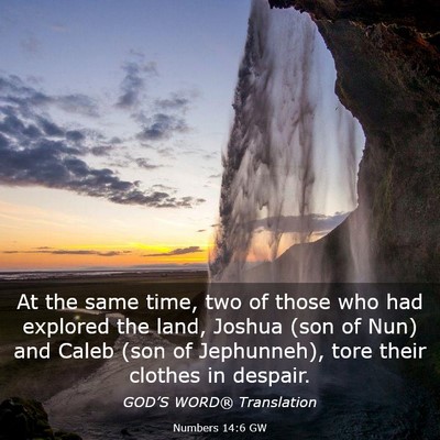 Picture 03 - Numbers 14:6 GW - At the same time, two of those who had explored - Bible Verse Picture