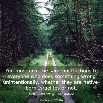 Picture 03 - Numbers 15:29 GW - You must give the same instructions to everyone - Bible Verse Picture