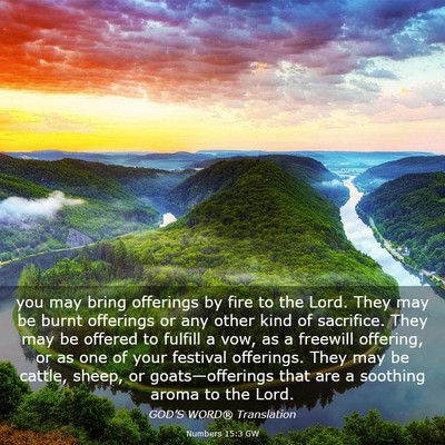 Picture 03 - Numbers 15:3 GW - you may bring offerings by fire to the Lord. They - Bible Verse Picture