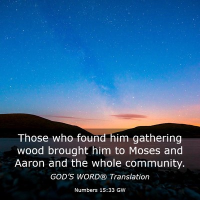 Picture 03 - Numbers 15:33 GW - Those who found him gathering wood brought him to - Bible Verse Picture