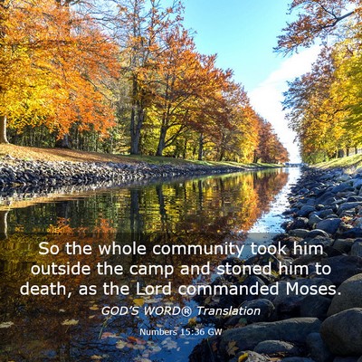 Picture 03 - Numbers 15:36 GW - So the whole community took him outside the camp - Bible Verse Picture