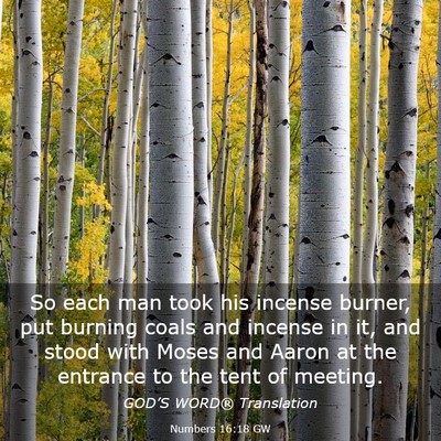 Picture 03 - Numbers 16:18 GW - So each man took his incense burner, put burning - Bible Verse Picture
