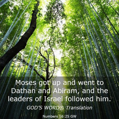 Picture 03 - Numbers 16:25 GW - Moses got up and went to Dathan and Abiram, and - Bible Verse Picture