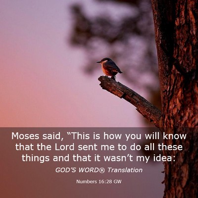 Picture 03 - Numbers 16:28 GW - Moses said, “This is how you will know that the - Bible Verse Picture