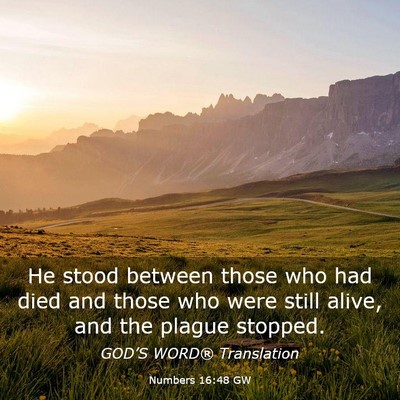 Picture 03 - Numbers 16:48 GW - He stood between those who had died and those who - Bible Verse Picture
