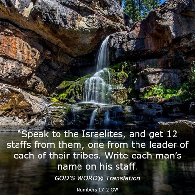 Picture 03 - Numbers 17:2 GW - “Speak to the Israelites, and get 12 staffs - Bible Verse Picture