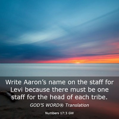 Picture 03 - Numbers 17:3 GW - Write Aaron’s name on the staff for Levi - Bible Verse Picture