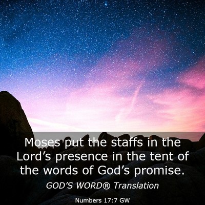 Picture 03 - Numbers 17:7 GW - Moses put the staffs in the Lord’s presence in - Bible Verse Picture