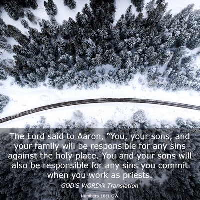 Picture 03 - Numbers 18:1 GW - The Lord said to Aaron, “You, your sons, and - Bible Verse Picture