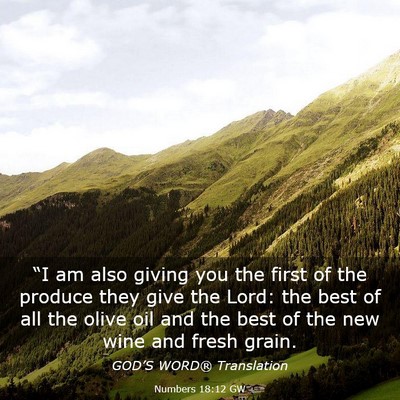 Picture 03 - Numbers 18:12 GW - “I am also giving you the first of the produce - Bible Verse Picture