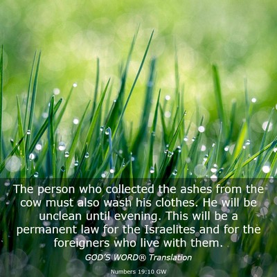 Picture 03 - Numbers 19:10 GW - The person who collected the ashes from the cow - Bible Verse Picture