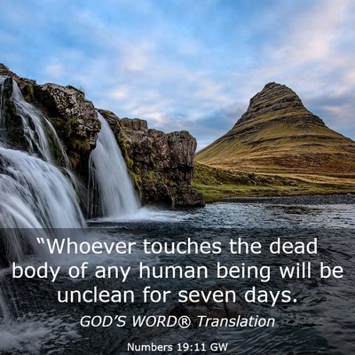 Picture 03 - Numbers 19:11 GW - “Whoever touches the dead body of any human - Bible Verse Picture
