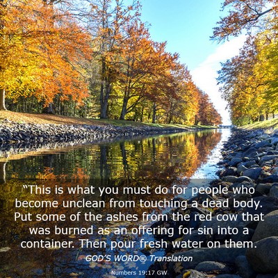 Picture 03 - Numbers 19:17 GW - “This is what you must do for people who become - Bible Verse Picture