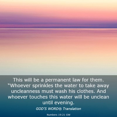 Picture 03 - Numbers 19:21 GW - This will be a permanent law for them. “Whoever - Bible Verse Picture