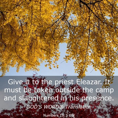 Picture 03 - Numbers 19:3 GW - Give it to the priest Eleazar. It must be taken - Bible Verse Picture