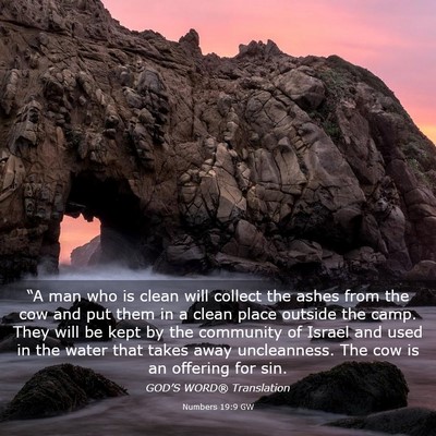 Picture 03 - Numbers 19:9 GW - “A man who is clean will collect the ashes from - Bible Verse Picture