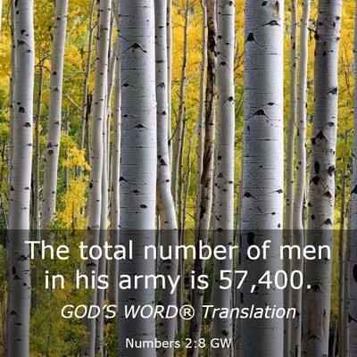 Picture 03 - Numbers 2:8 GW - The total number of men in his army is - Bible Verse Picture