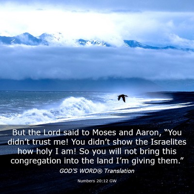 Picture 03 - Numbers 20:12 GW - But the Lord said to Moses and Aaron, “You - Bible Verse Picture