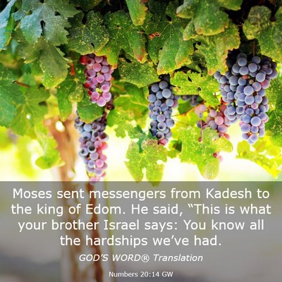 Picture 03 - Numbers 20:14 GW - Moses sent messengers from Kadesh to the king of - Bible Verse Picture