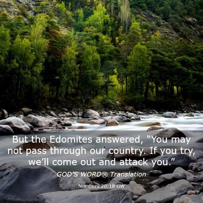 Picture 03 - Numbers 20:18 GW - But the Edomites answered, “You may not pass - Bible Verse Picture